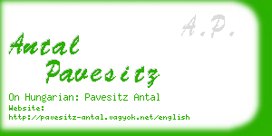 antal pavesitz business card